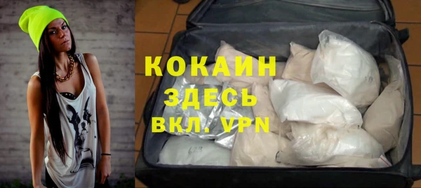 стаф Баксан