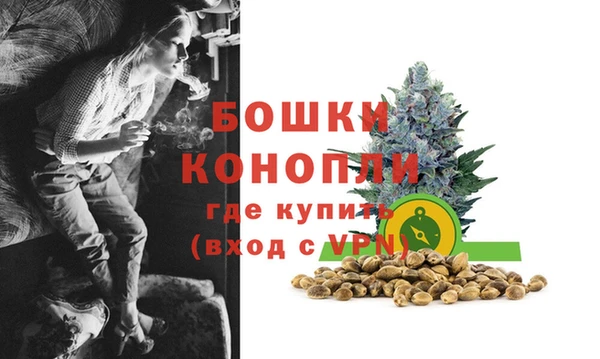 стаф Баксан